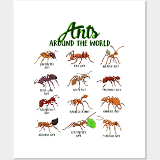 Ants around the world - types of ants Posters and Art